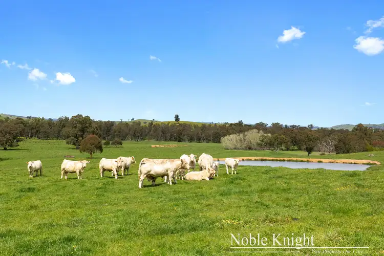 Seventh view of Homely rural property listing, 105 Cheviot Road, Yea VIC 3717