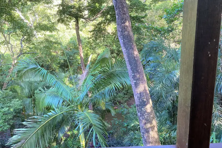Seventh view of Homely house listing, 20 Rainforest Street, Cooktown QLD 4895