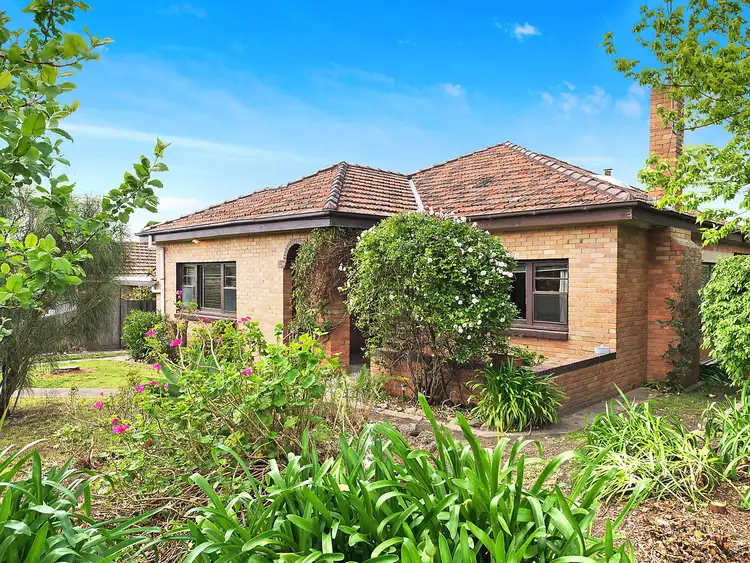 Second view of Homely house listing, 3 Read Street, Newtown VIC 3220