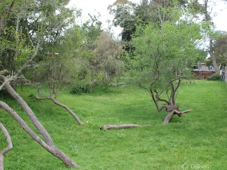 Sixth view of Homely land listing, 31 Silverleaves Avenue, Silverleaves VIC 3922