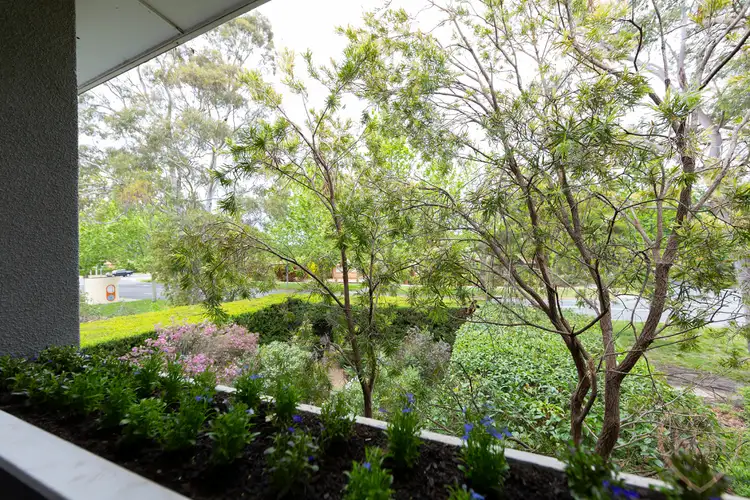 Third view of Homely semi-detached listing, 82 Cowper Street, Dickson ACT 2602