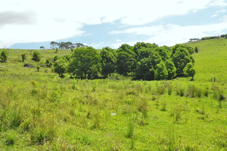 Fifth view of Homely land listing, LOT 10 Midgen Flat Road, Broken Head NSW 2481
