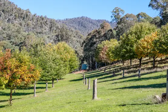 240 Simmonds Creek Road, Tawonga South VIC 3698