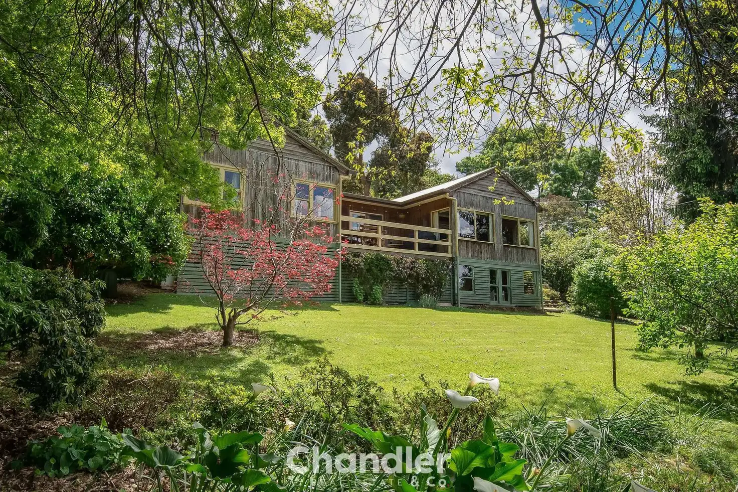 Main view of Homely house listing, 19 The Patch Road, The Patch VIC 3792