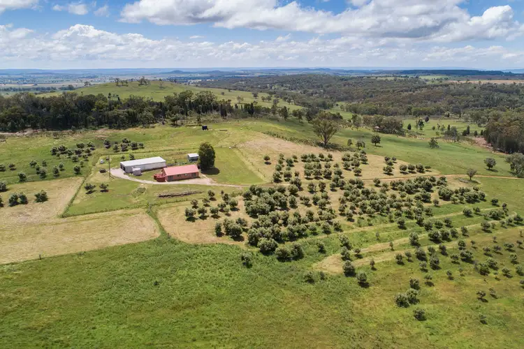 Main view of Homely rural property listing, 155 Suzanne Road, Gulgong NSW 2852