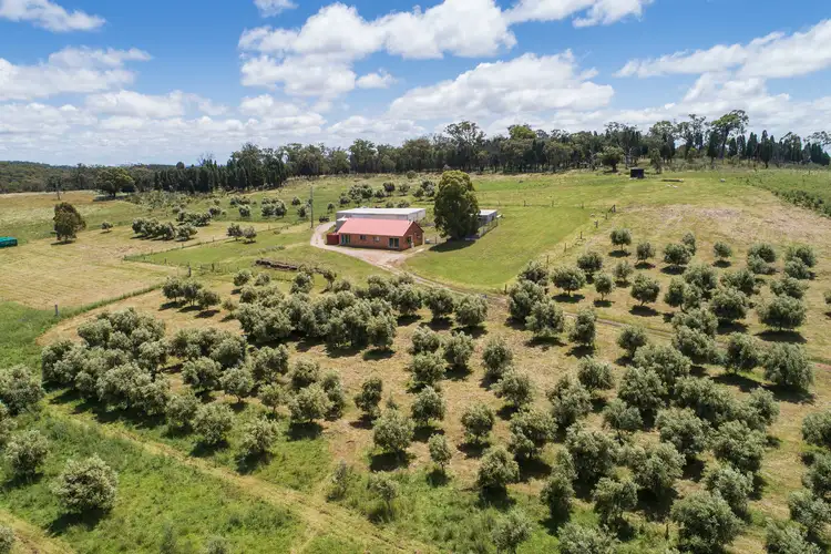 Third view of Homely rural property listing, 155 Suzanne Road, Gulgong NSW 2852
