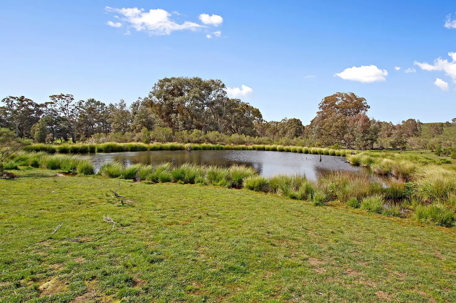 Main view of Homely rural property listing, Lots/176 & 177 Stinkpot Road, Gunning NSW 2581