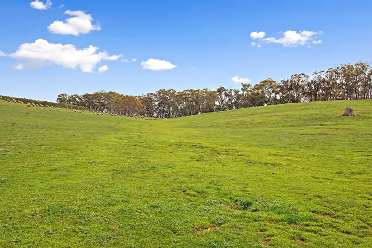 Fifth view of Homely rural property listing, Lots/176 & 177 Stinkpot Road, Gunning NSW 2581