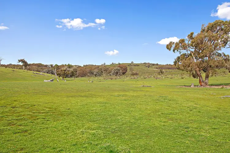 Sixth view of Homely rural property listing, Lots/176 & 177 Stinkpot Road, Gunning NSW 2581