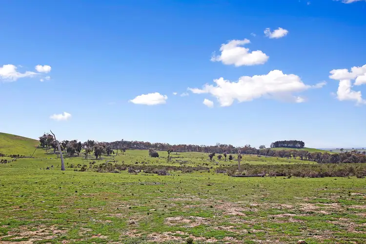 Seventh view of Homely rural property listing, Lots/176 & 177 Stinkpot Road, Gunning NSW 2581