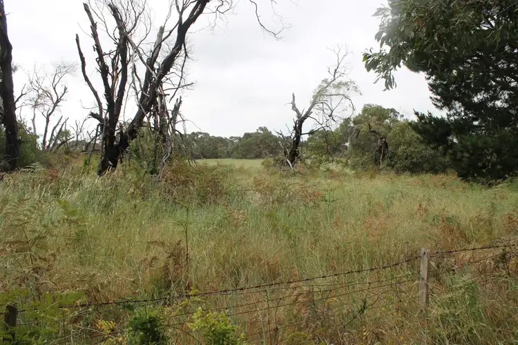 Second view of Homely land listing, LOT 51 Hakea Drive, Millicent SA 5280