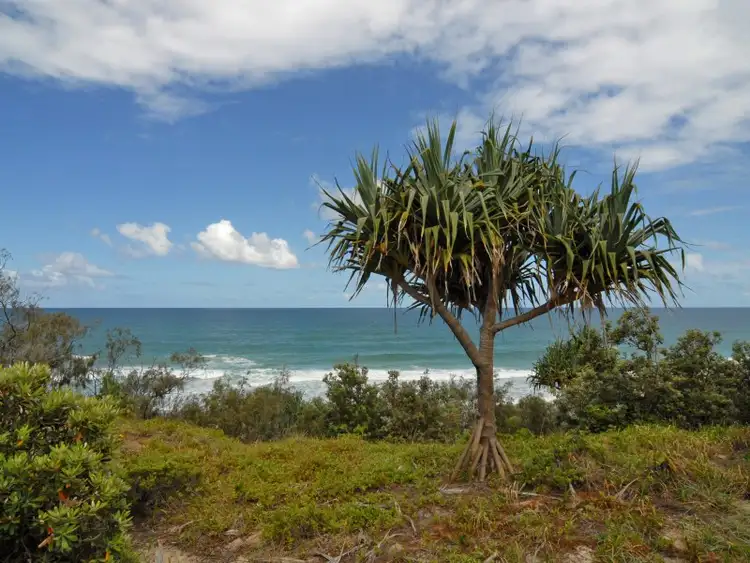 21 Yerranya Row, Yaroomba QLD 4573