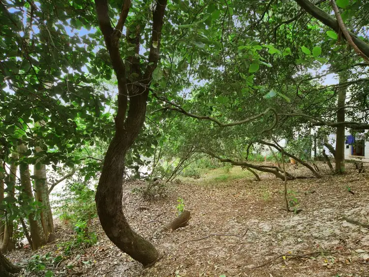 Fourth view of Homely land listing, 21 Yerranya Row, Yaroomba QLD 4573