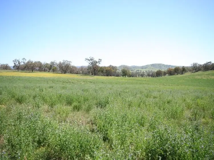 Main view of Homely rural property listing, Address available on request