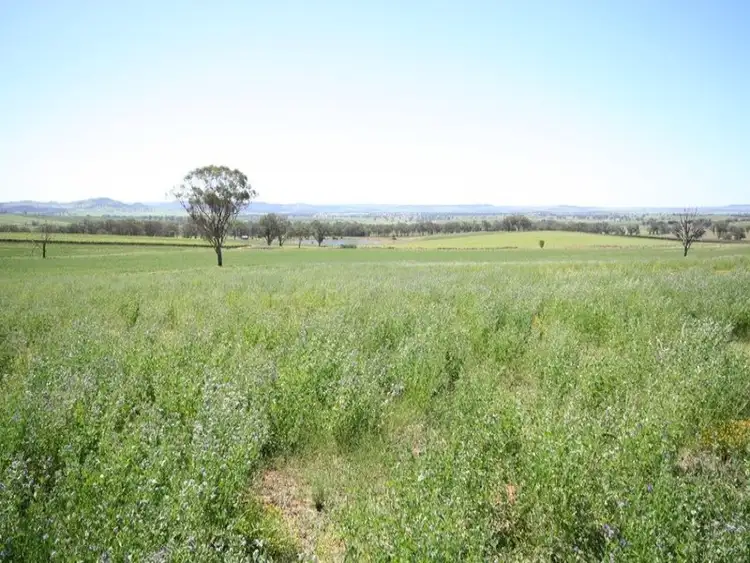 Second view of Homely rural property listing, Address available on request
