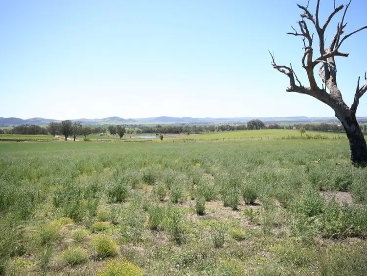 Fourth view of Homely rural property listing, Address available on request