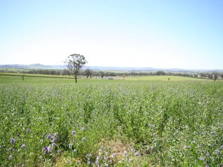 Fifth view of Homely rural property listing, Address available on request
