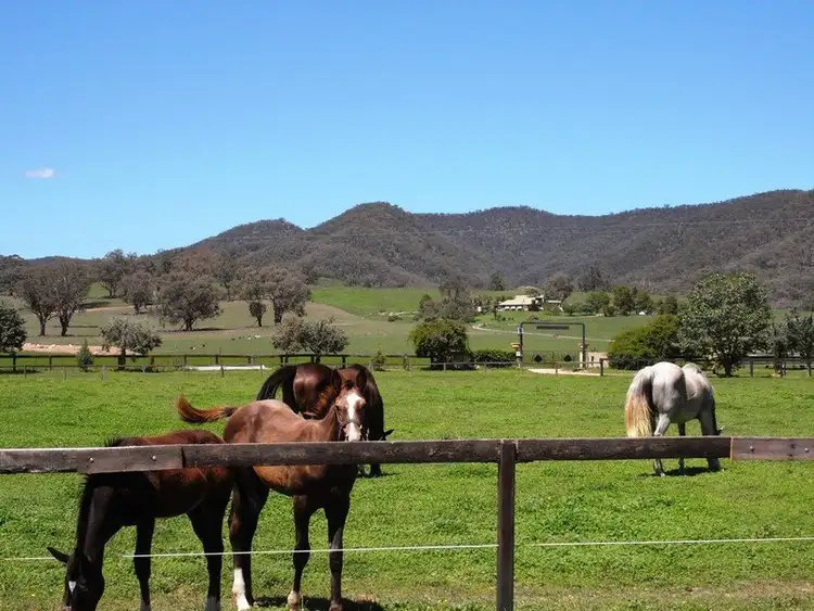 Main view of Homely rural property listing, 217 Spring Flat South Lane, Mudgee NSW 2850
