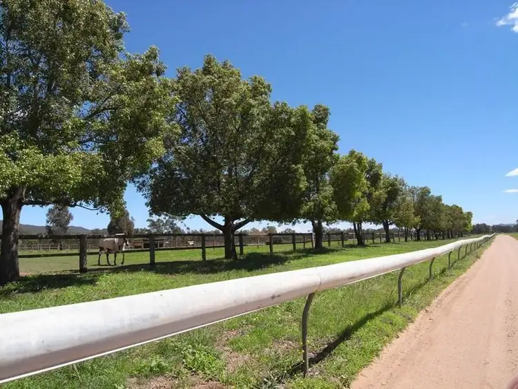 Third view of Homely rural property listing, 217 Spring Flat South Lane, Mudgee NSW 2850