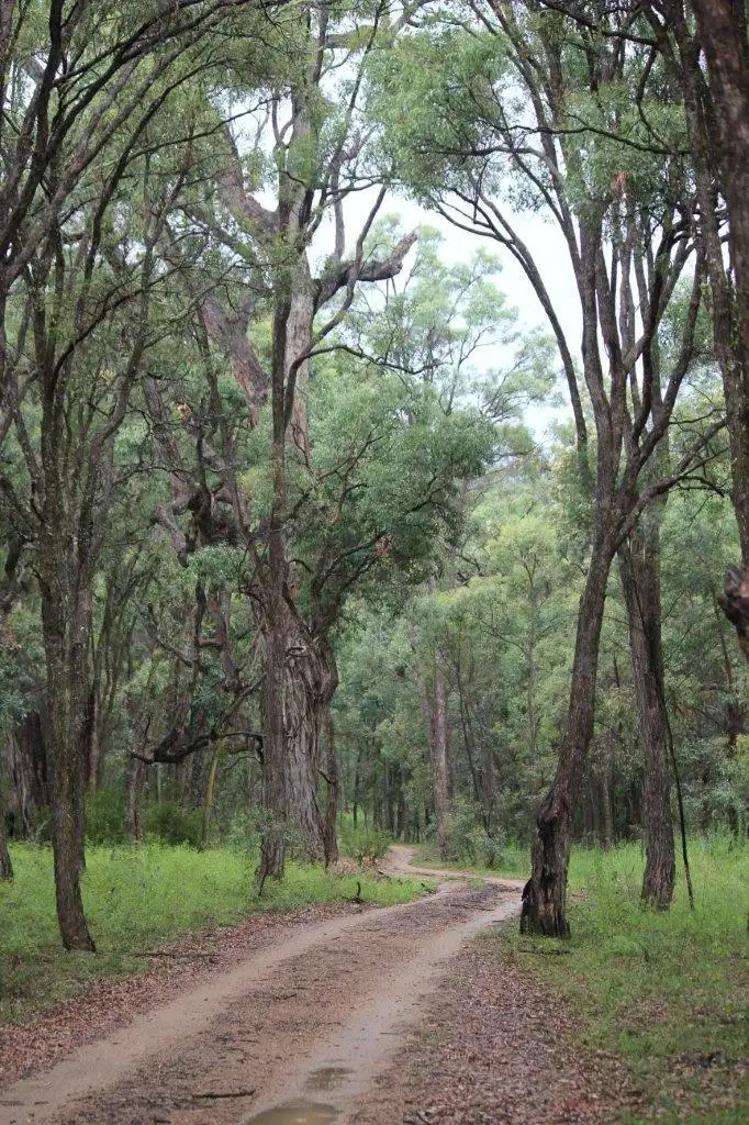 Fourth view of Homely rural property listing, 938 Pyangle Road, Mudgee NSW 2850