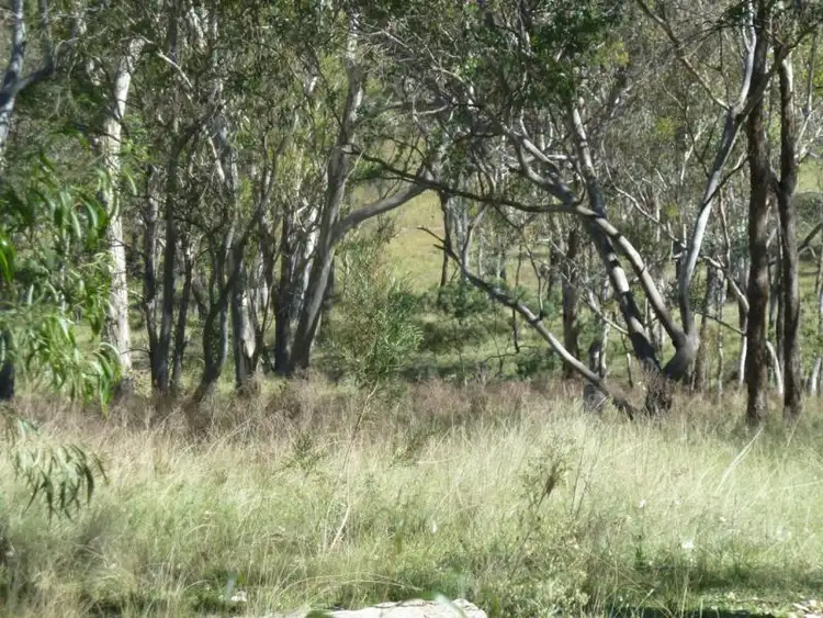 Fifth view of Homely rural property listing, 1008 Hayes Gap Road, Mudgee NSW 2850