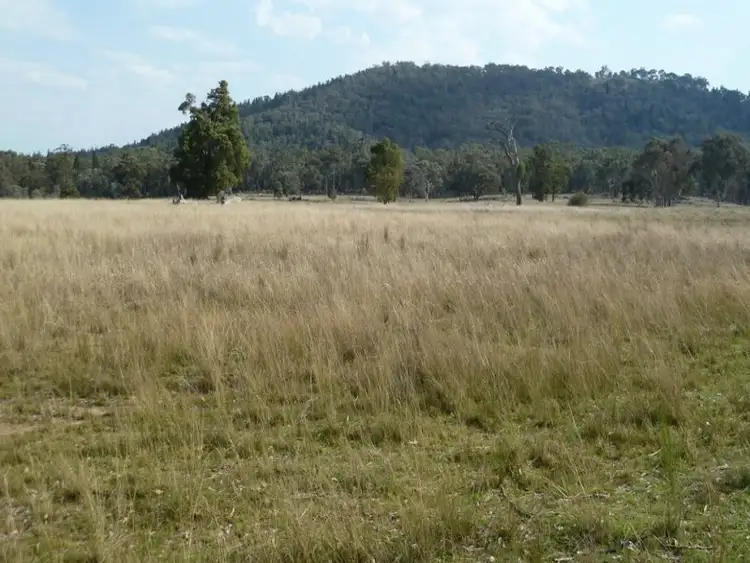 Main view of Homely rural property listing, 908 Mebul Road, Mudgee NSW 2850