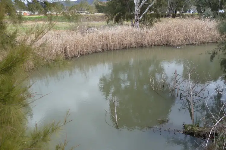 Second view of Homely rural property listing, Lot 2 Pitts Lane, Mudgee NSW 2850
