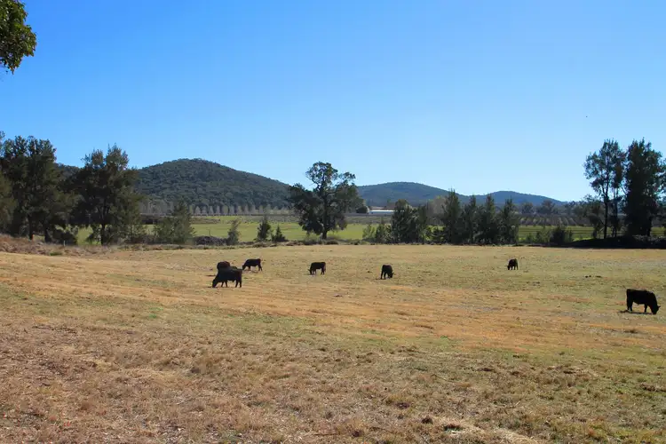 Second view of Homely rural property listing, 679 Ulan Road, Mudgee NSW 2850