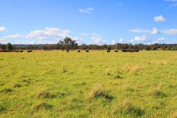 Fifth view of Homely rural property listing, LOT 2 Wollar Road, Mudgee NSW 2850