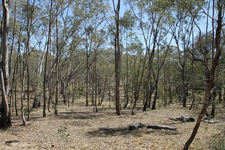 LOT 85, 411 Maitland Bar Road, Mudgee NSW 2850