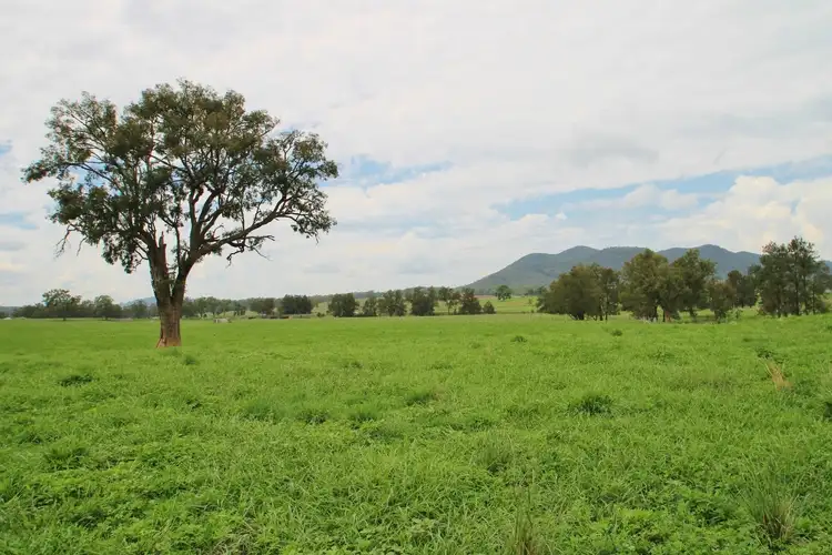 Main view of Homely rural property listing, 721 Ulan Road, Mudgee NSW 2850