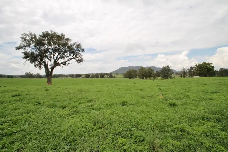 Seventh view of Homely rural property listing, 721 Ulan Road, Mudgee NSW 2850