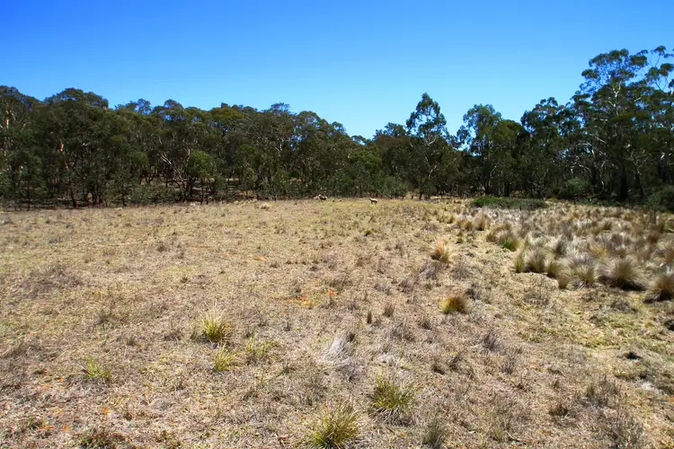 Main view of Homely rural property listing, LOT 63 & 64, 643 Campbells Creek Road, Mudgee NSW 2850