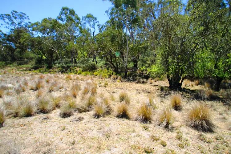 Second view of Homely rural property listing, LOT 63 & 64, 643 Campbells Creek Road, Mudgee NSW 2850