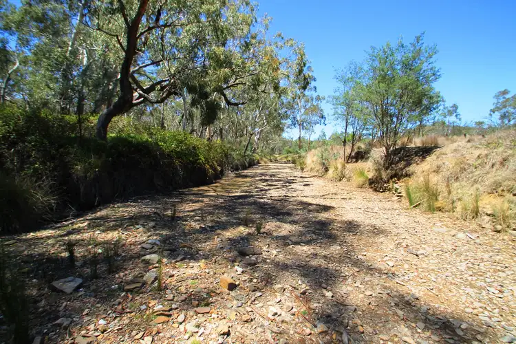 Third view of Homely rural property listing, LOT 63 & 64, 643 Campbells Creek Road, Mudgee NSW 2850