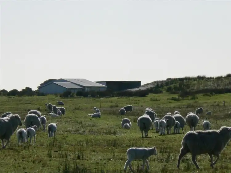 Second view of Homely rural property listing, 8930 Southern Ports Highway, Beachport SA 5280
