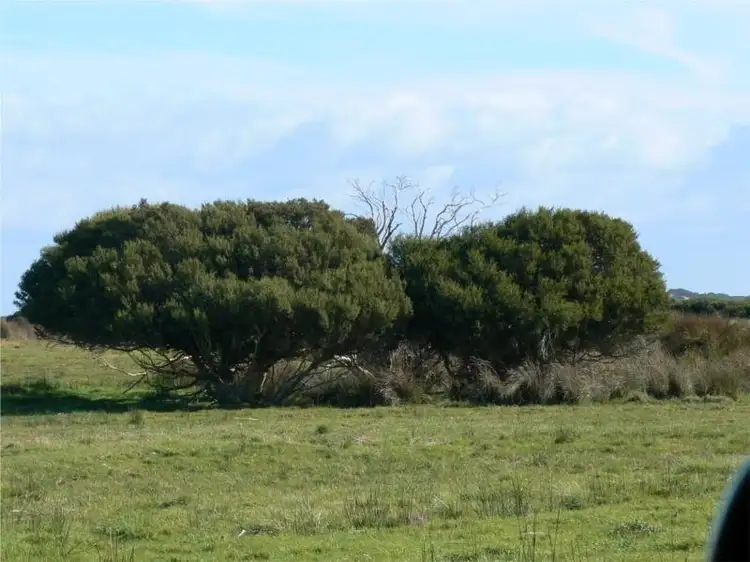 Third view of Homely rural property listing, 8930 Southern Ports Highway, Beachport SA 5280