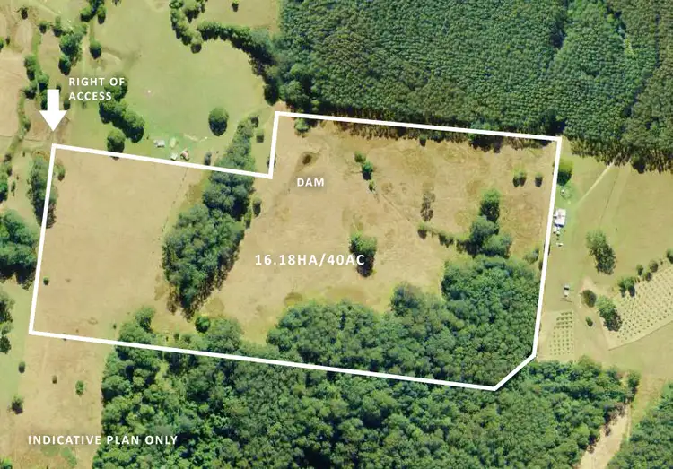 Second view of Homely rural property listing, Level 124 Neilson Lane, Lorne NSW 2439
