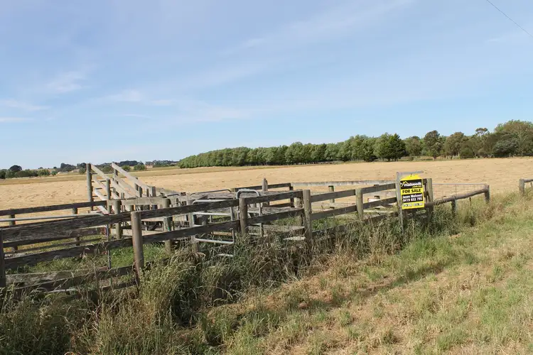 Fifth view of Homely rural property listing, Square Mile Road, Yahl SA 5291