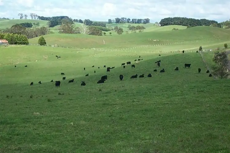 Second view of Homely rural property listing, 349 Jeetho Road, Loch VIC 3945