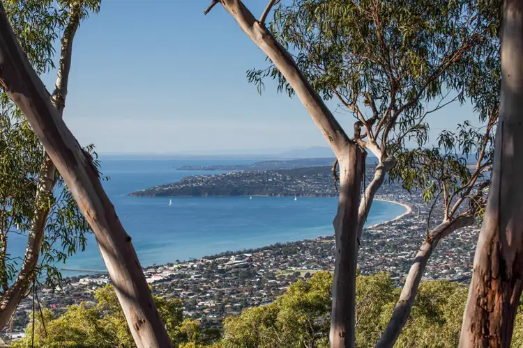 Main view of Homely land listing, 12 Nestle Court, Arthurs Seat VIC 3936