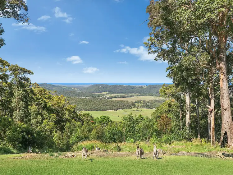Second view of Homely house listing, 105 Elouera Drive, Ninderry QLD 4561