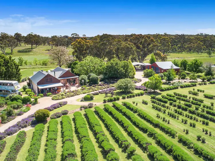 Third view of Homely rural property listing, 6891 Castlereagh Highway, Mudgee NSW 2850
