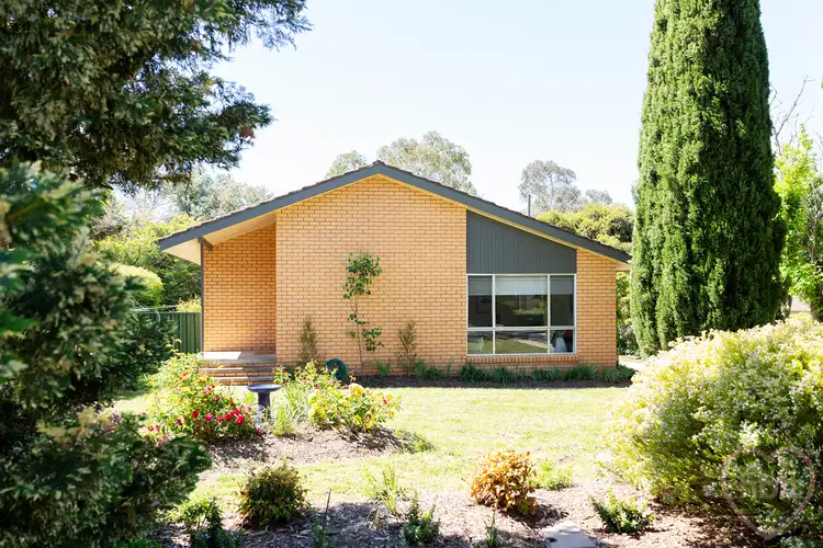 Main view of Homely house listing, 17 Molloy Crescent, Cook ACT 2614