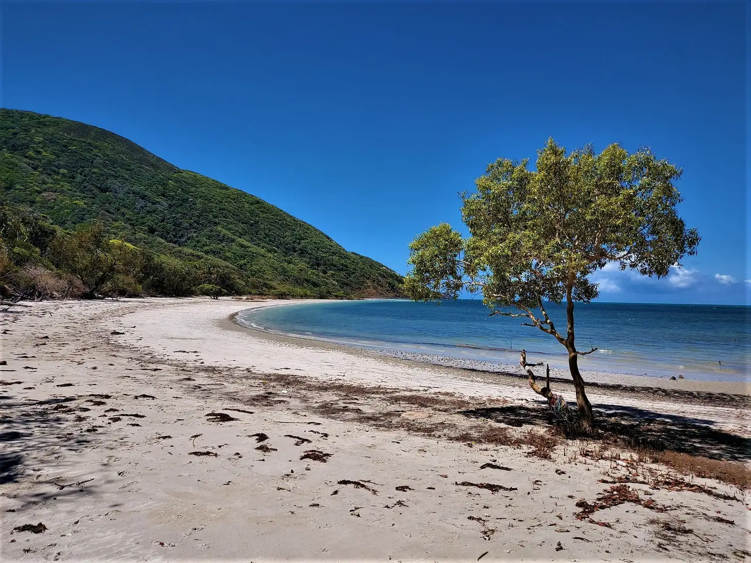 Main view of Homely rural property listing, 1105 Mount Amos Road, Cooktown QLD 4895