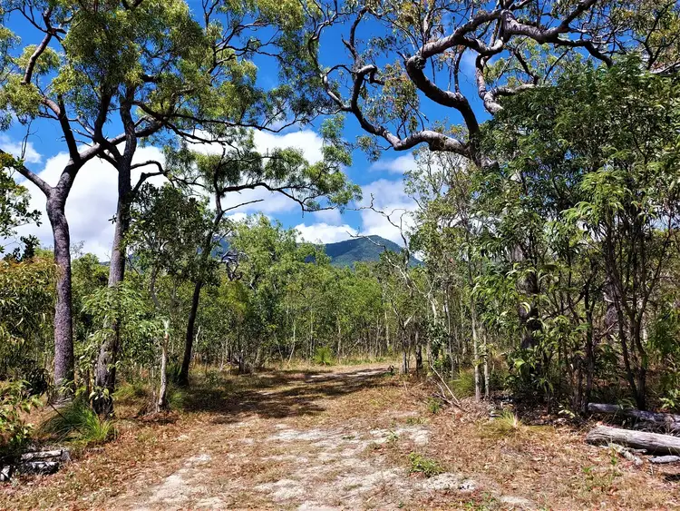 Sixth view of Homely rural property listing, 1105 Mount Amos Road, Cooktown QLD 4895