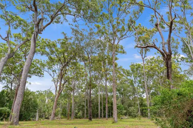 Seventh view of Homely rural property listing, 392 Woodburn - Evans Head Road, Doonbah NSW 2473