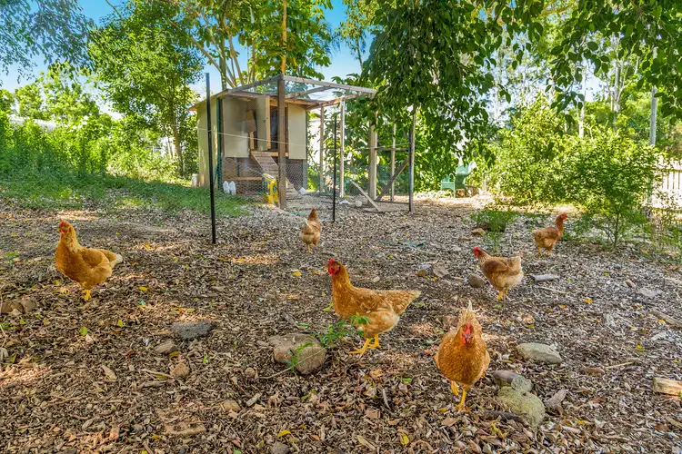 Sixth view of Homely house listing, 311 Terranora Road, Banora Point NSW 2486