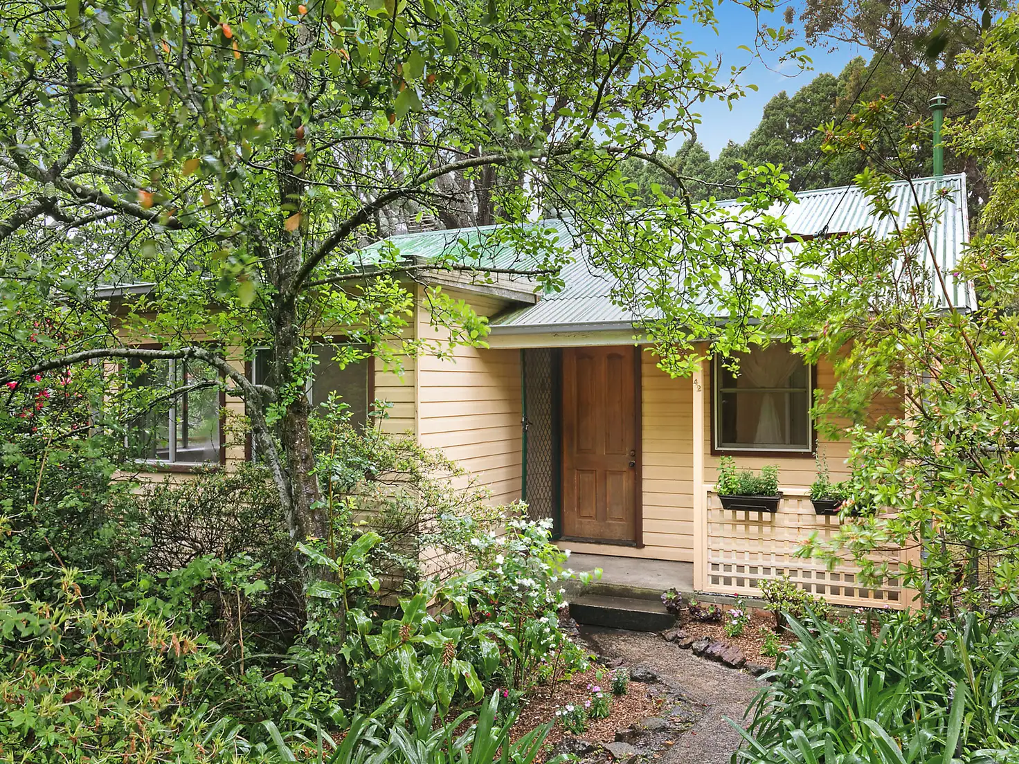 Main view of Homely house listing, 42 Taylor Avenue, Wentworth Falls NSW 2782