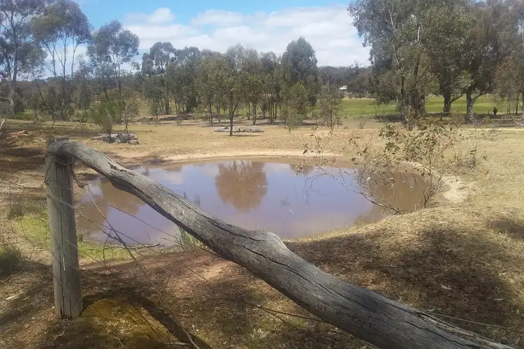Main view of Homely rural property listing, CA6 Sec11 Sporting Flat Road, Dunolly VIC 3472